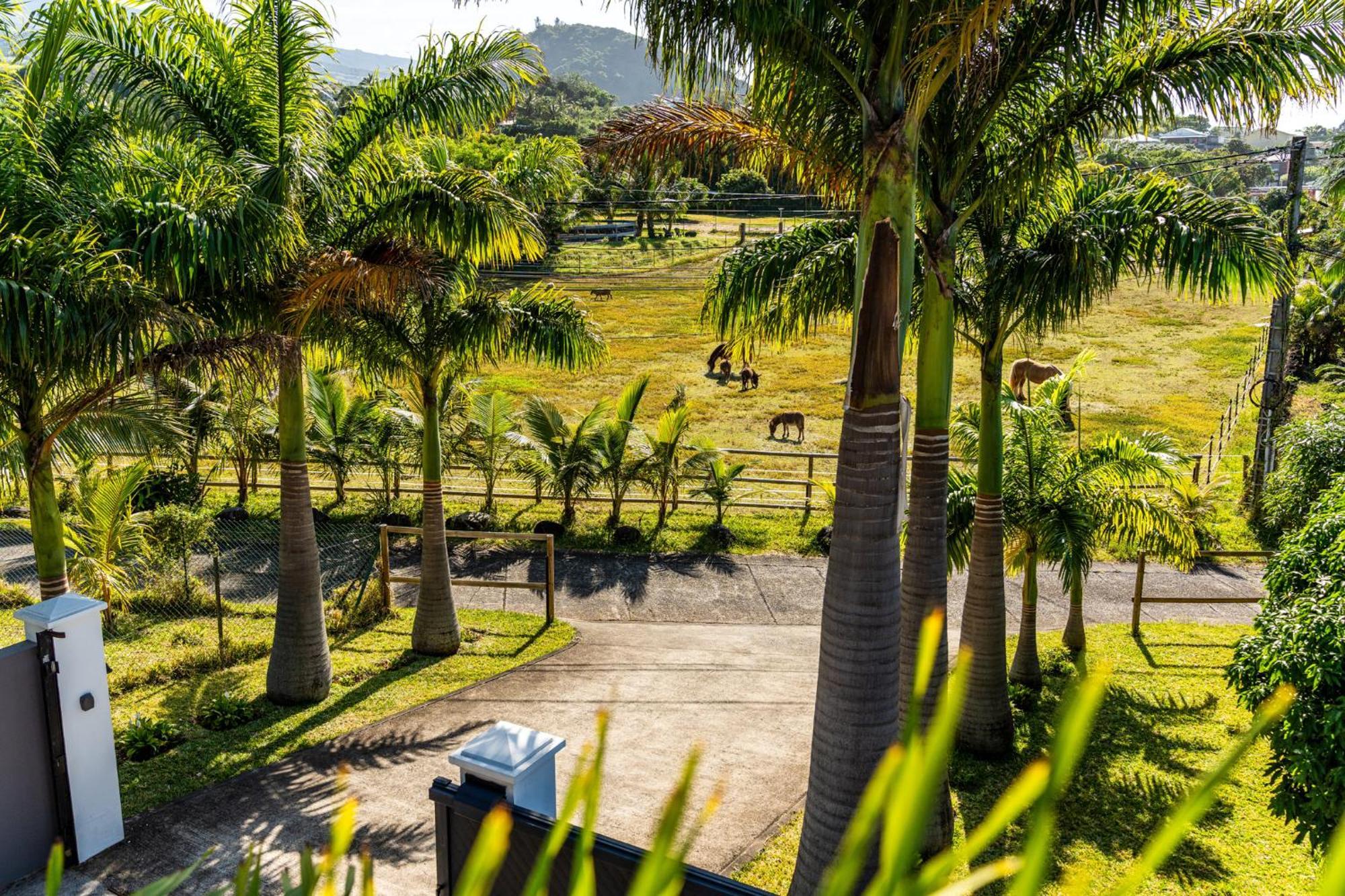 Villa Avec Piscine Vue Mer Et Montagne, En Pleine Nature Saint-Joseph Buitenkant foto